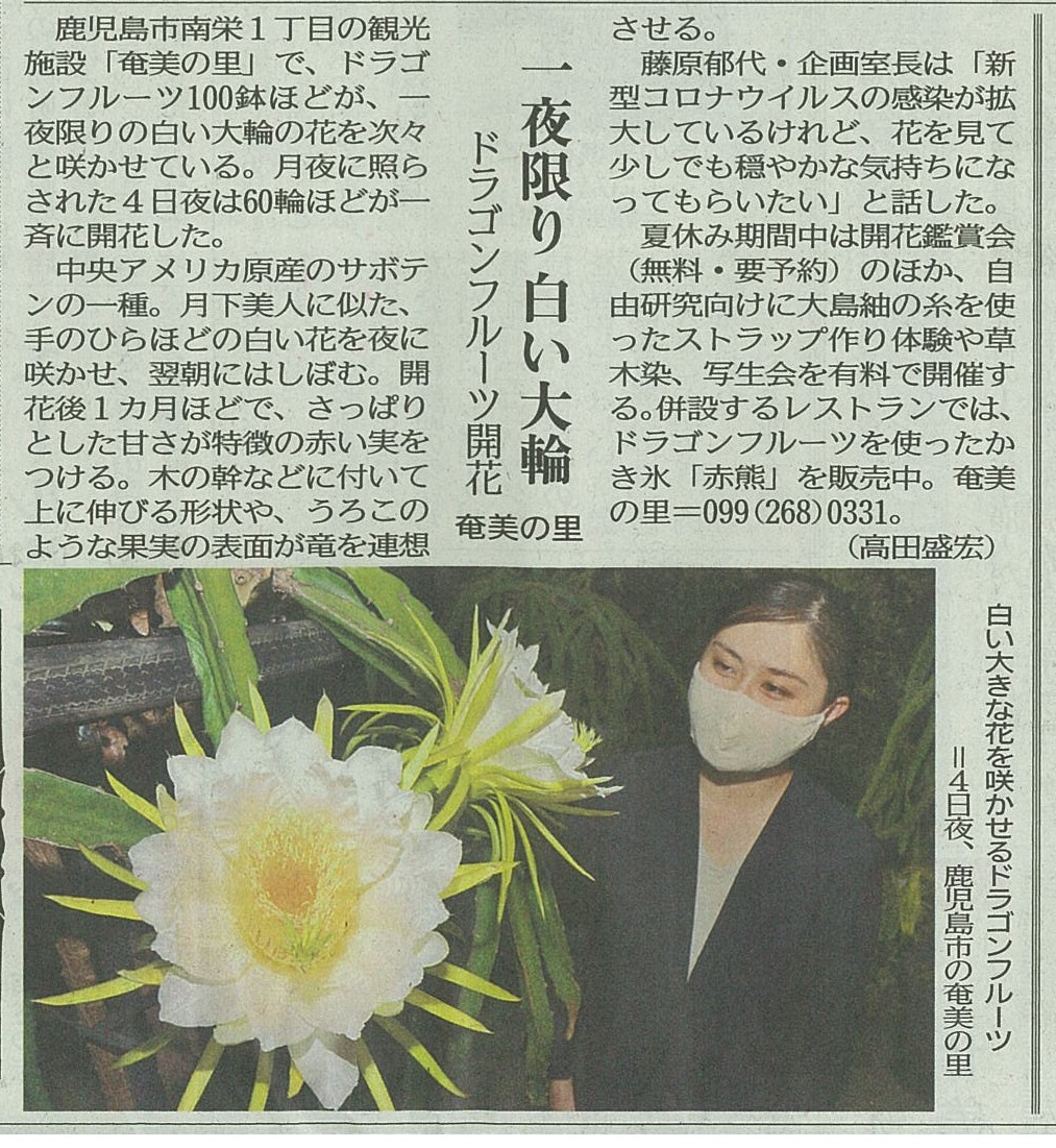 南日本新聞・ドラゴンフルーツ鑑賞会の記事が掲載されました